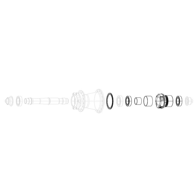 SRAM XD Freehub Body Bearings – 11/12 Speed X0 Hubs Rise 60 B1 Roam 30 Roam 40 Rail 40 Rise XX Roam 50 B1 Roam 60 B1